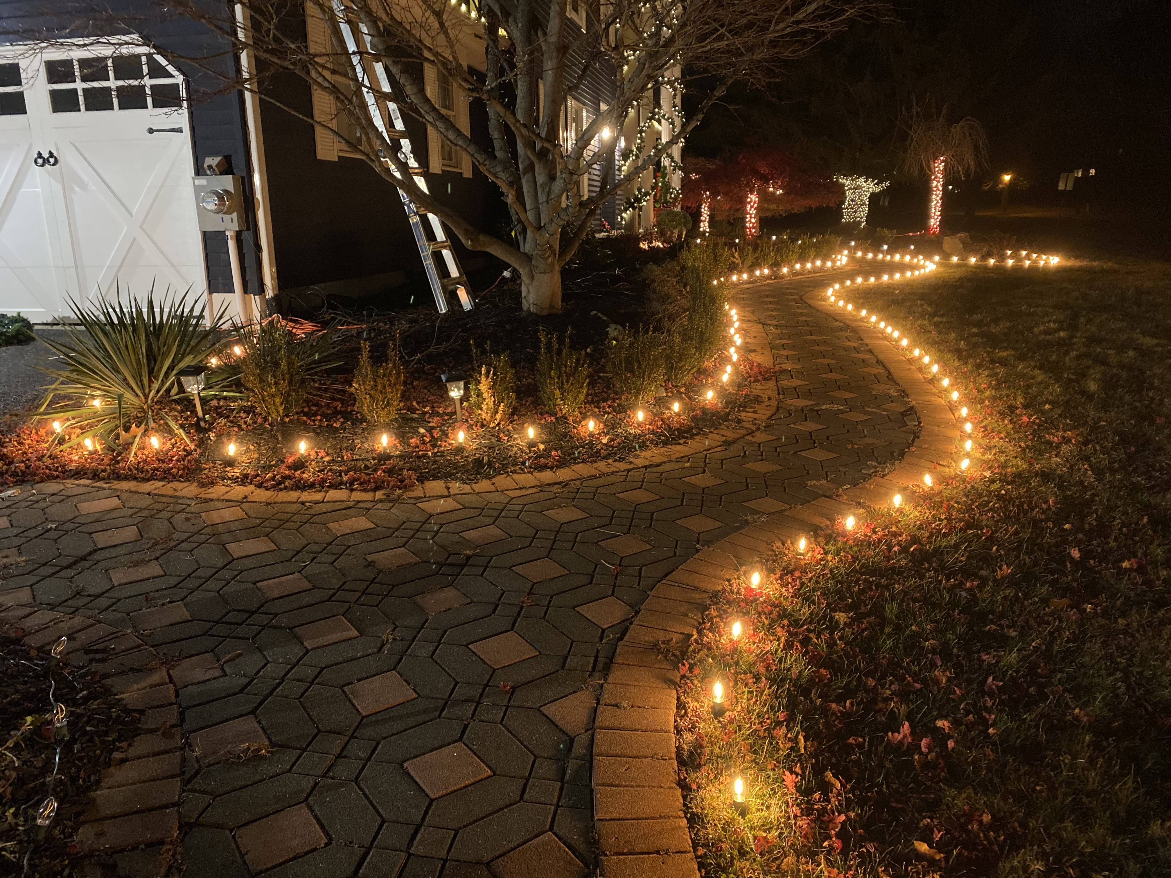 Driveway & Pathway Magic